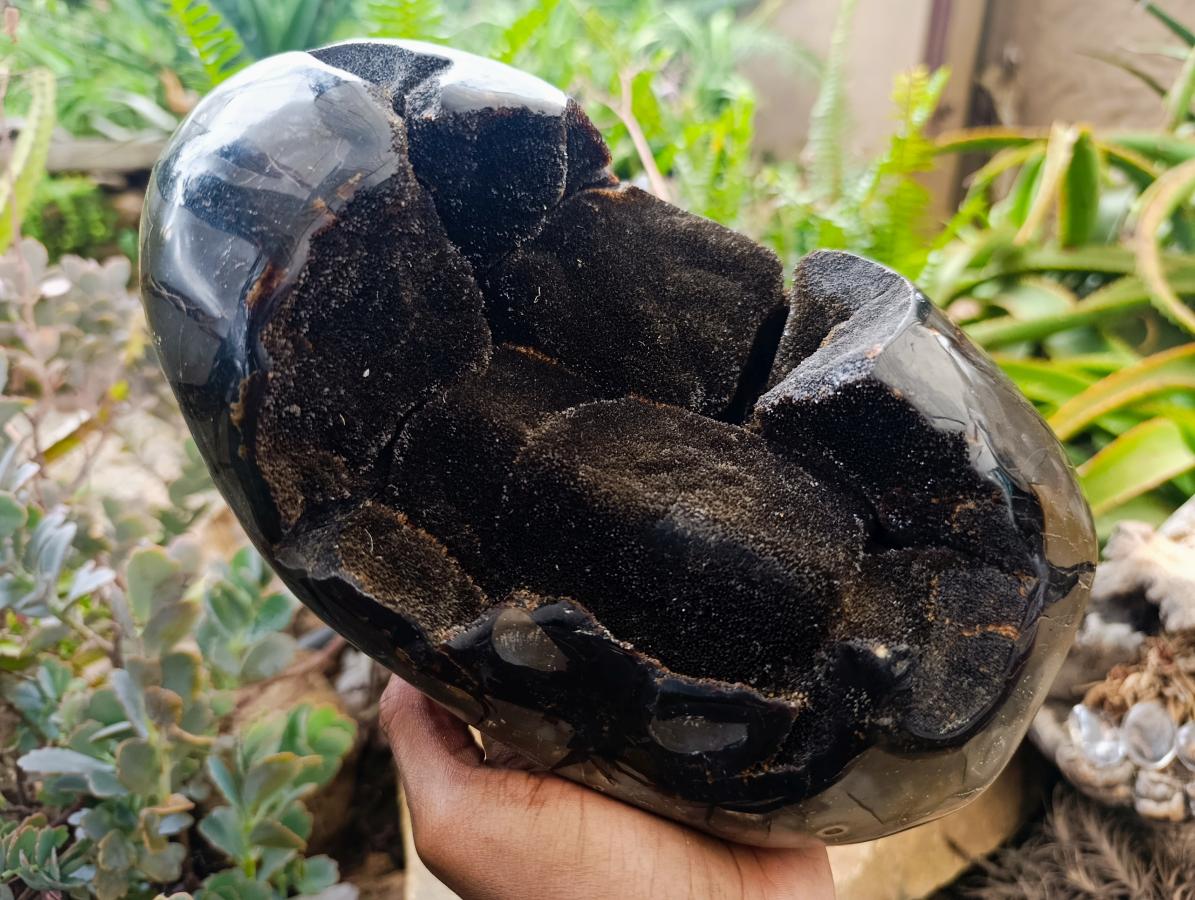 Polished Large Septerye Sauvage "Dragons Egg" Geode x 1 From Mahajanga, Madagascar