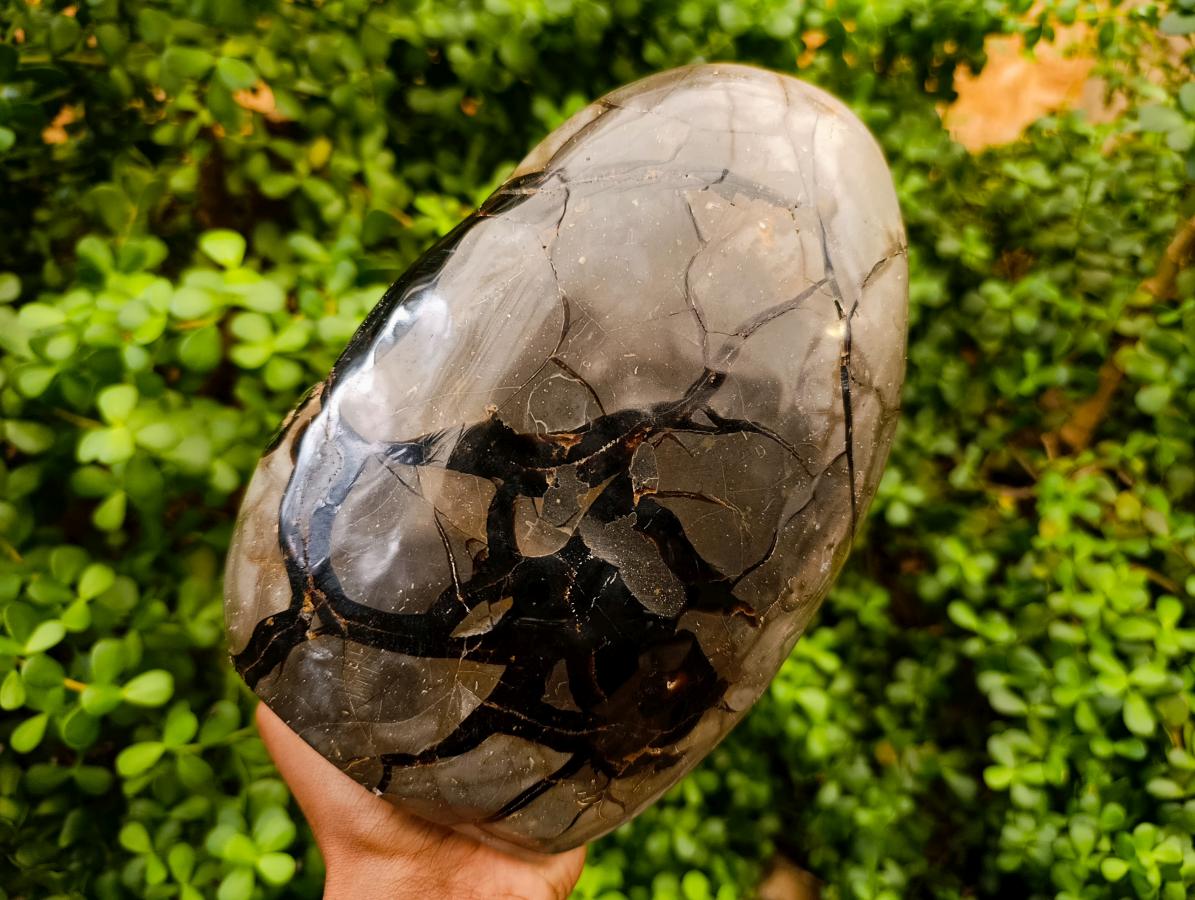 Polished Large Septerye Sauvage "Dragons Egg" Geode x 1 From Mahajanga, Madagascar
