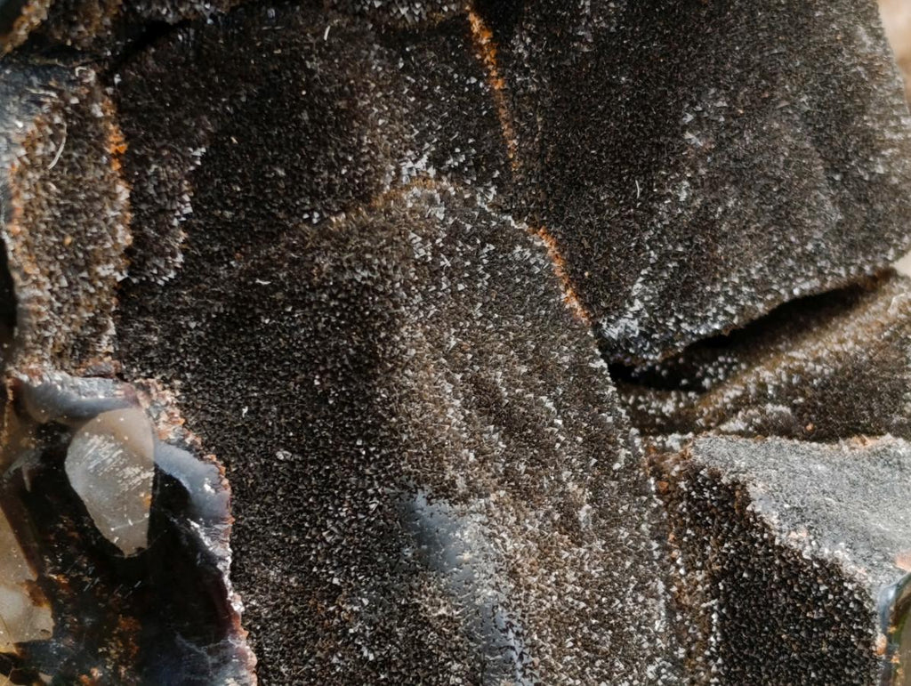 Polished Large Septerye Sauvage "Dragons Egg" Geode x 1 From Mahajanga, Madagascar