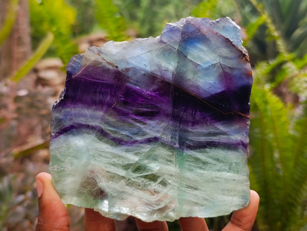 Polished Watermelon Fluorite Slices x 2 From Uis, Namibia