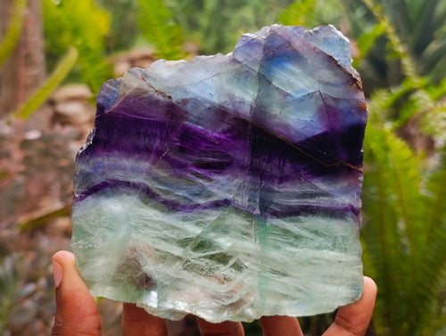 Polished Watermelon Fluorite Slices x 2 From Uis, Namibia