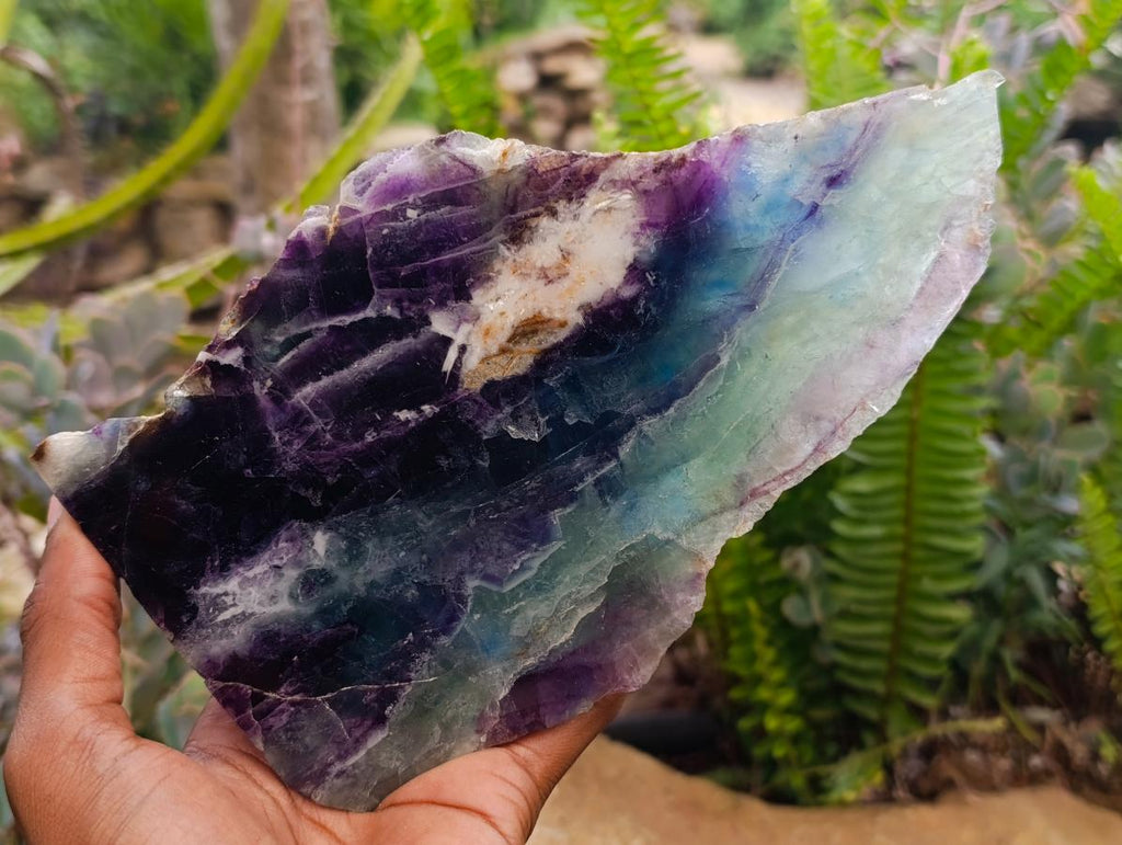 Polished Watermelon Fluorite Slices x 2 From Uis, Namibia