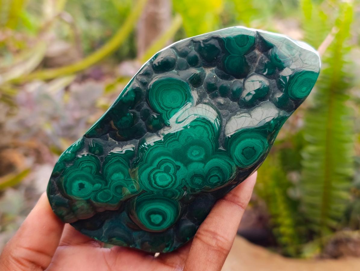 Polished Flower Banded Malachite Free Forms x 3 From Congo