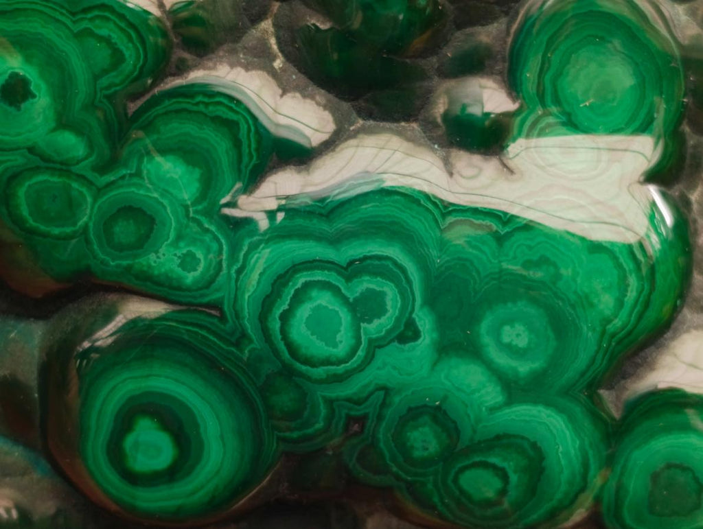 Polished Flower Banded Malachite Free Forms x 3 From Congo