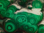 Polished Flower Banded Malachite Free Forms x 3 From Congo