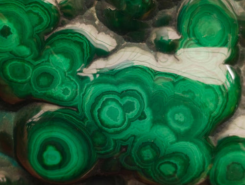 Polished Flower Banded Malachite Free Forms x 3 From Congo