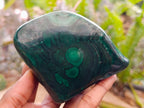 Polished Flower Banded Malachite Free Forms x 3 From Congo