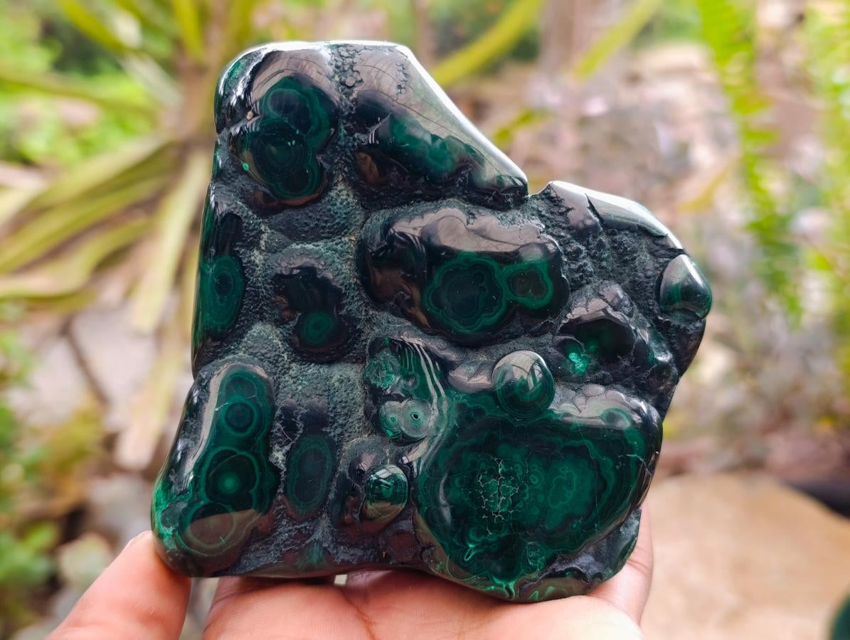 Polished Flower Banded Malachite Free Forms x 3 From Congo