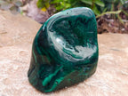 Polished Flower Banded Malachite Free Forms x 3 From Congo