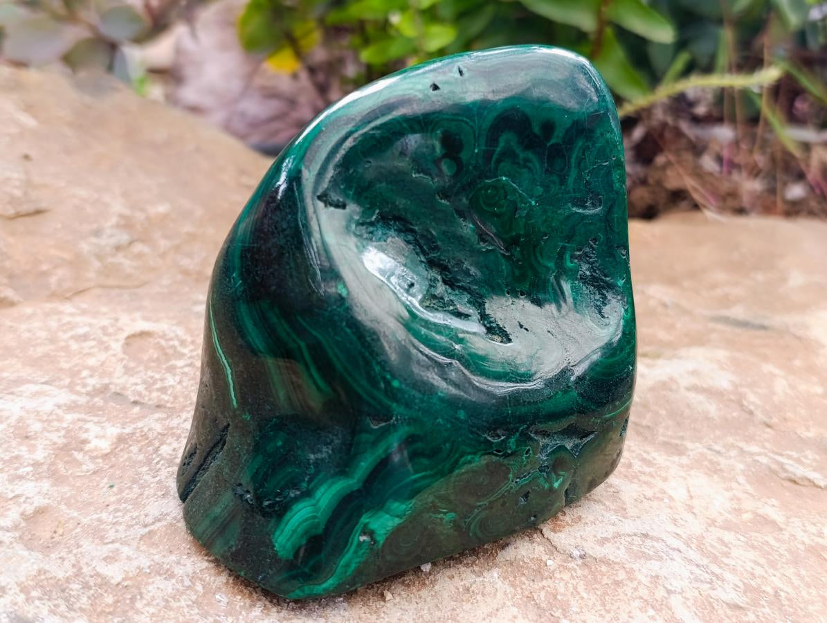 Polished Flower Banded Malachite Free Forms x 3 From Congo