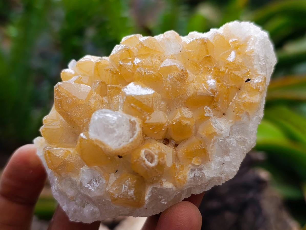Natural Limonite Quartz Crystal Cluster Plates x 24 From Solwezi, Zambia