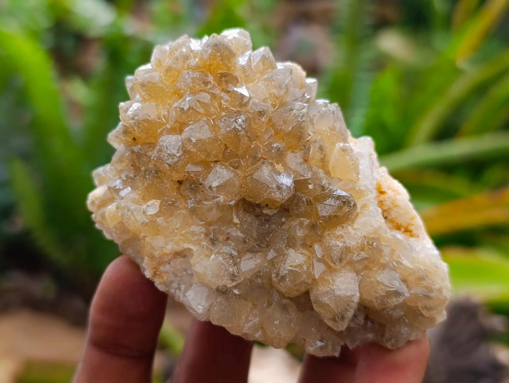 Natural Limonite Quartz Crystal Cluster Plates x 24 From Solwezi, Zambia