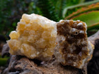 Natural Limonite Quartz Crystal Cluster Plates x 24 From Solwezi, Zambia
