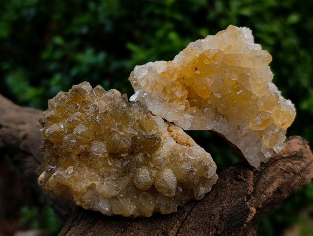 Natural Limonite Quartz Crystal Cluster Plates x 24 From Solwezi, Zambia