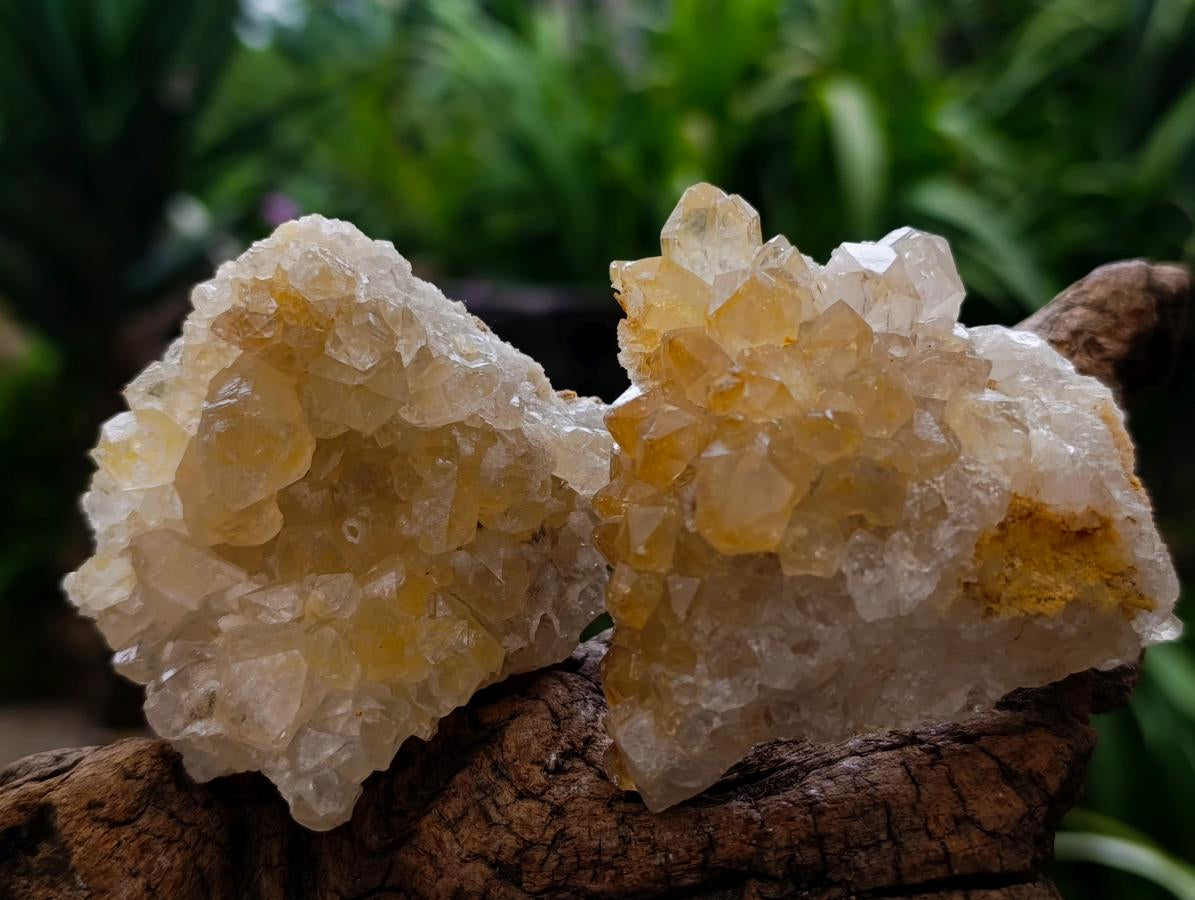 Natural Limonite Quartz Crystal Cluster Plates x 24 From Solwezi, Zambia