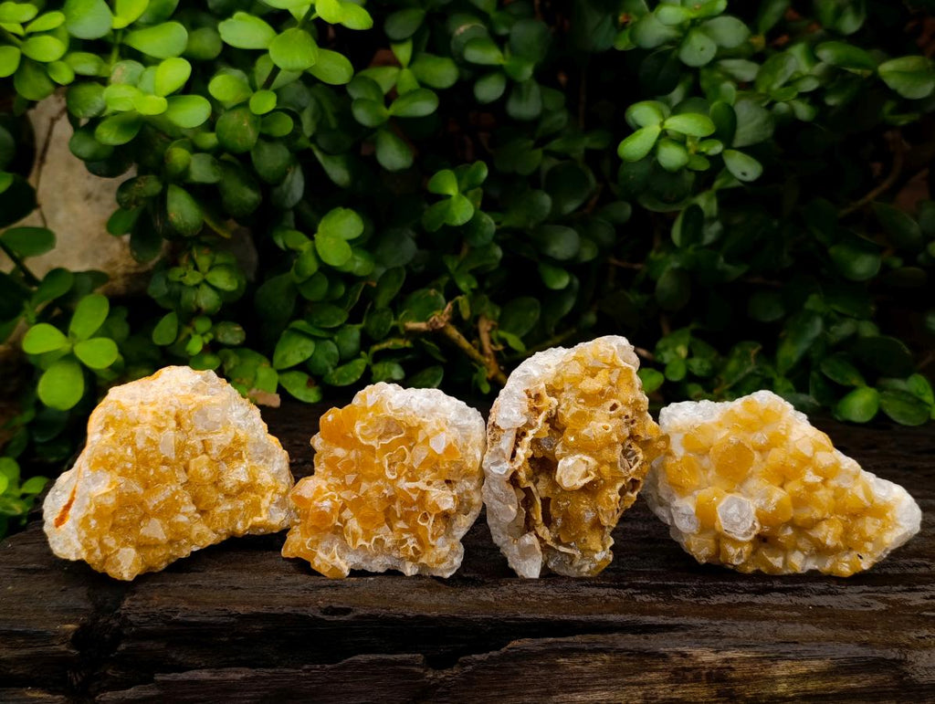 Natural Limonite Quartz Crystal Cluster Plates x 24 From Solwezi, Zambia