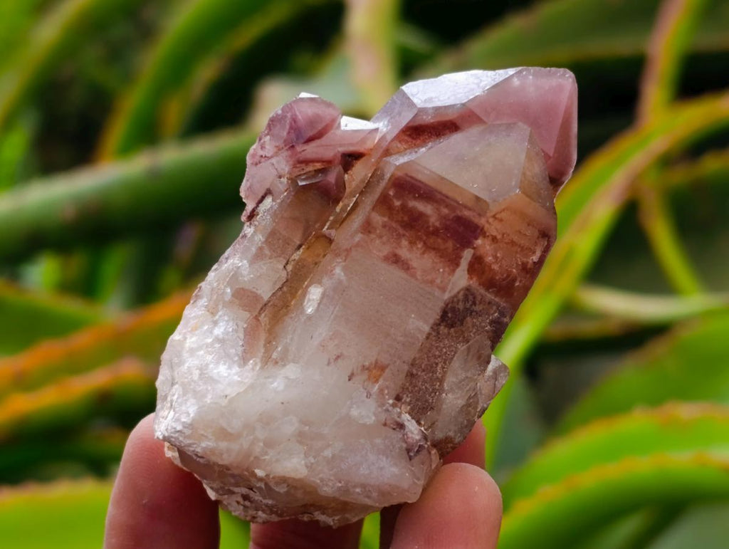 Natural Red Hematoid Quartz Crystals x 8 From Karoi, Zimbabwe