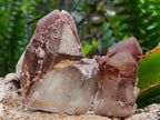 Natural Red Hematoid Quartz Crystals x 8 From Karoi, Zimbabwe