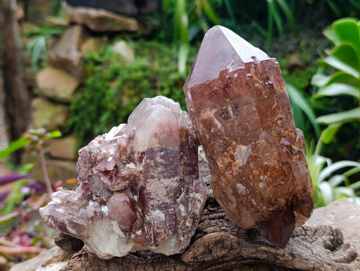 Natural Red Hematoid Quartz Crystals x 8 From Karoi, Zimbabwe