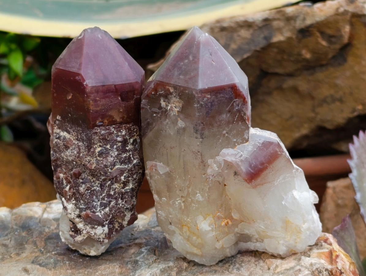Natural Red Hematoid Quartz Crystals x 8 From Karoi, Zimbabwe