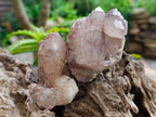 Natural Red Hematoid Quartz Crystals x 8 From Karoi, Zimbabwe