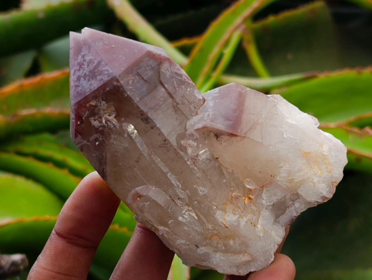 Natural Red Hematoid Quartz Crystals x 8 From Karoi, Zimbabwe