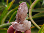 Natural Red Hematoid Quartz Crystals x 8 From Karoi, Zimbabwe