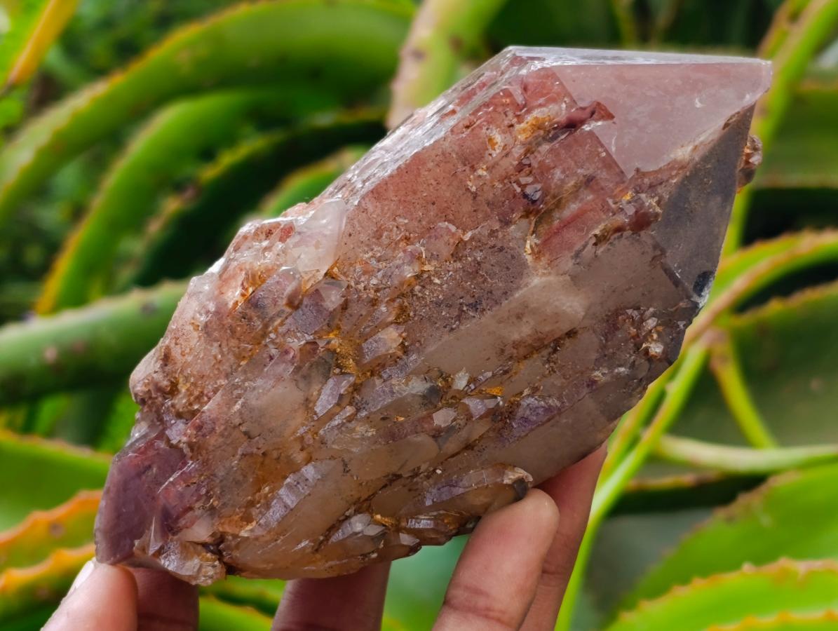 Natural Red Hematoid Quartz Crystals x 8 From Karoi, Zimbabwe