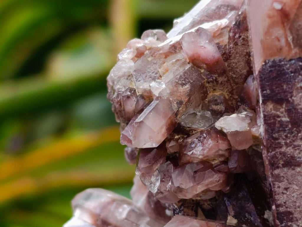 Natural Red Hematoid Quartz Crystals x 8 From Karoi, Zimbabwe