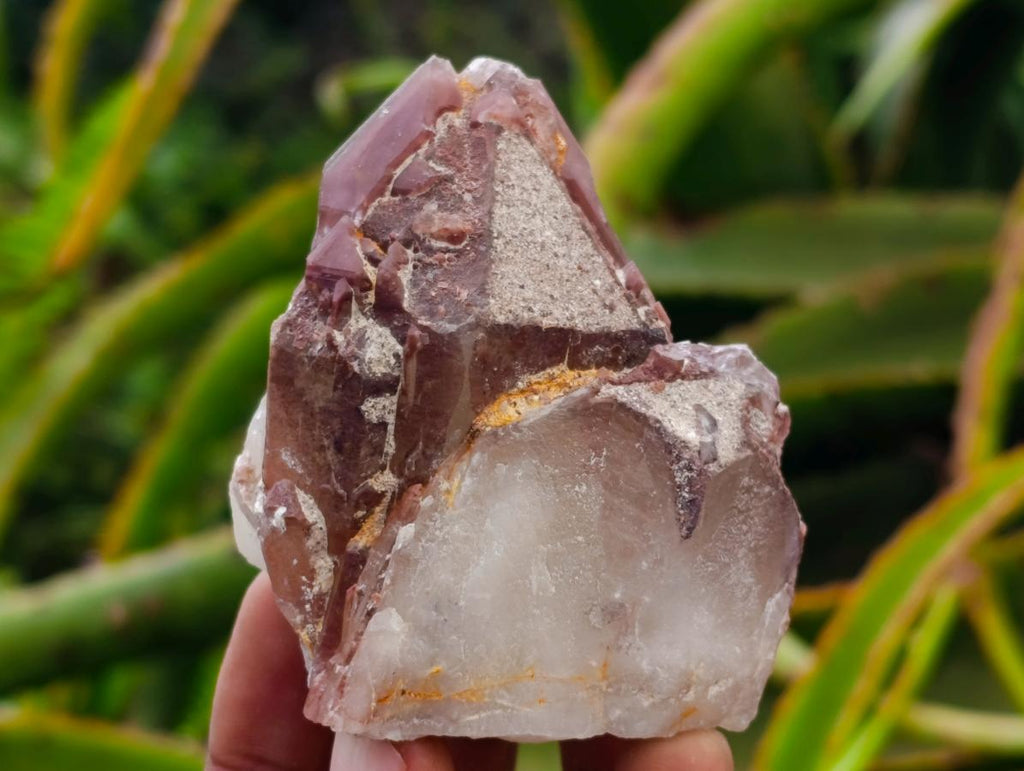 Natural Red Hematoid Quartz Crystals x 8 From Karoi, Zimbabwe