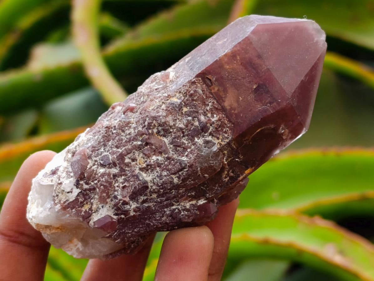 Natural Red Hematoid Quartz Crystals x 8 From Karoi, Zimbabwe