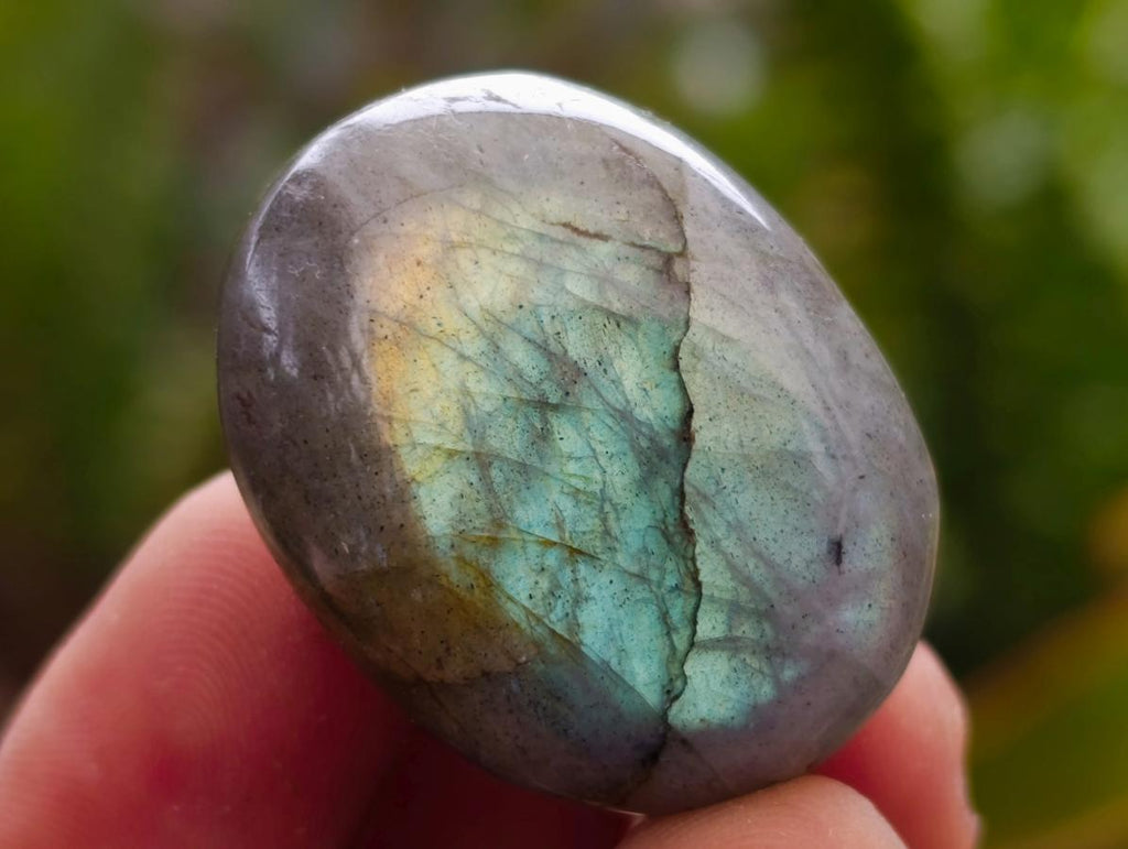 Polished Mini Rounded Wire Wrap Size Labradorite Free Forms x 70 From Madagascar