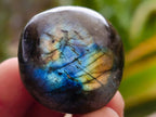 Polished Mini Rounded Wire Wrap Size Labradorite Free Forms x 70 From Madagascar
