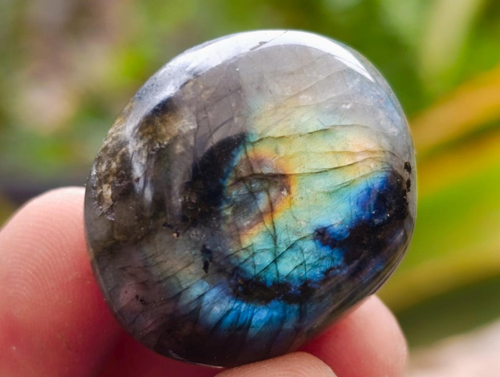 Polished Mini Rounded Wire Wrap Size Labradorite Free Forms x 70 From Madagascar