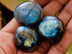 Polished Mini Rounded Wire Wrap Size Labradorite Free Forms x 70 From Madagascar