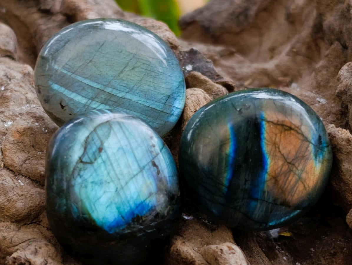 Polished Mini Rounded Wire Wrap Size Labradorite Free Forms x 70 From Madagascar