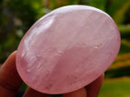 Polished Gemmy Rose Quartz Palm Stones x 13 From Madagascar