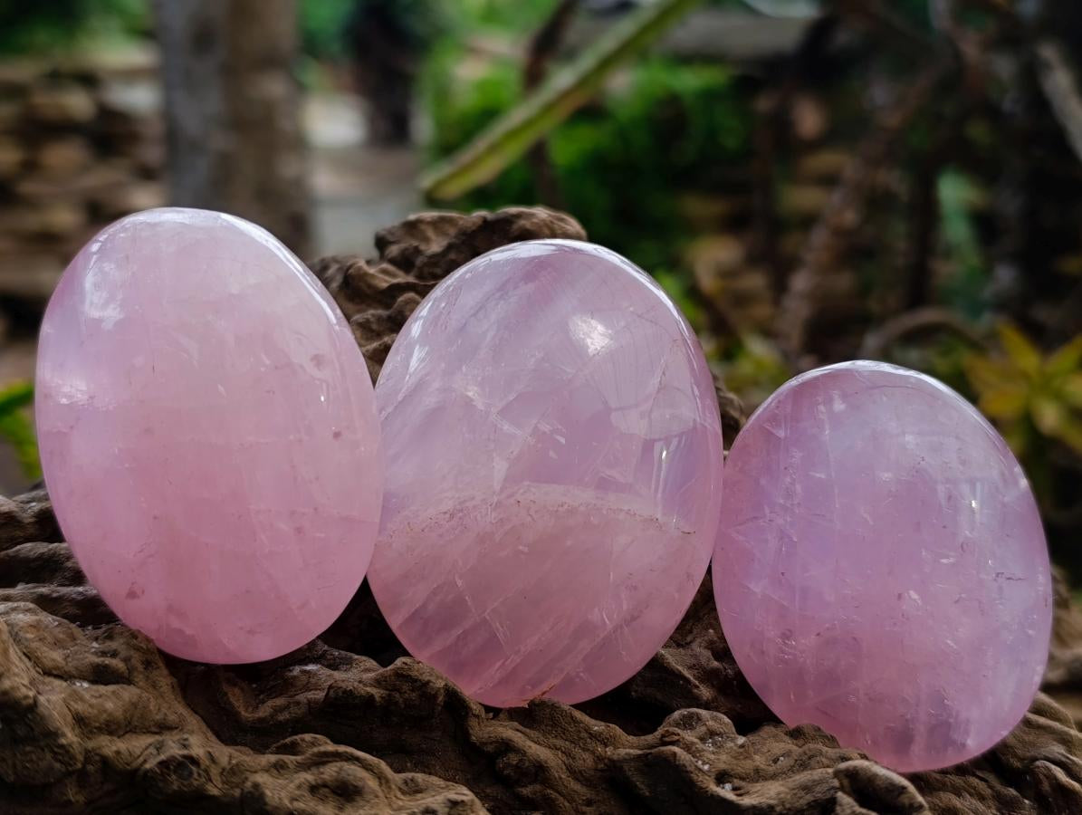 Polished Gemmy Rose Quartz Palm Stones x 13 From Madagascar