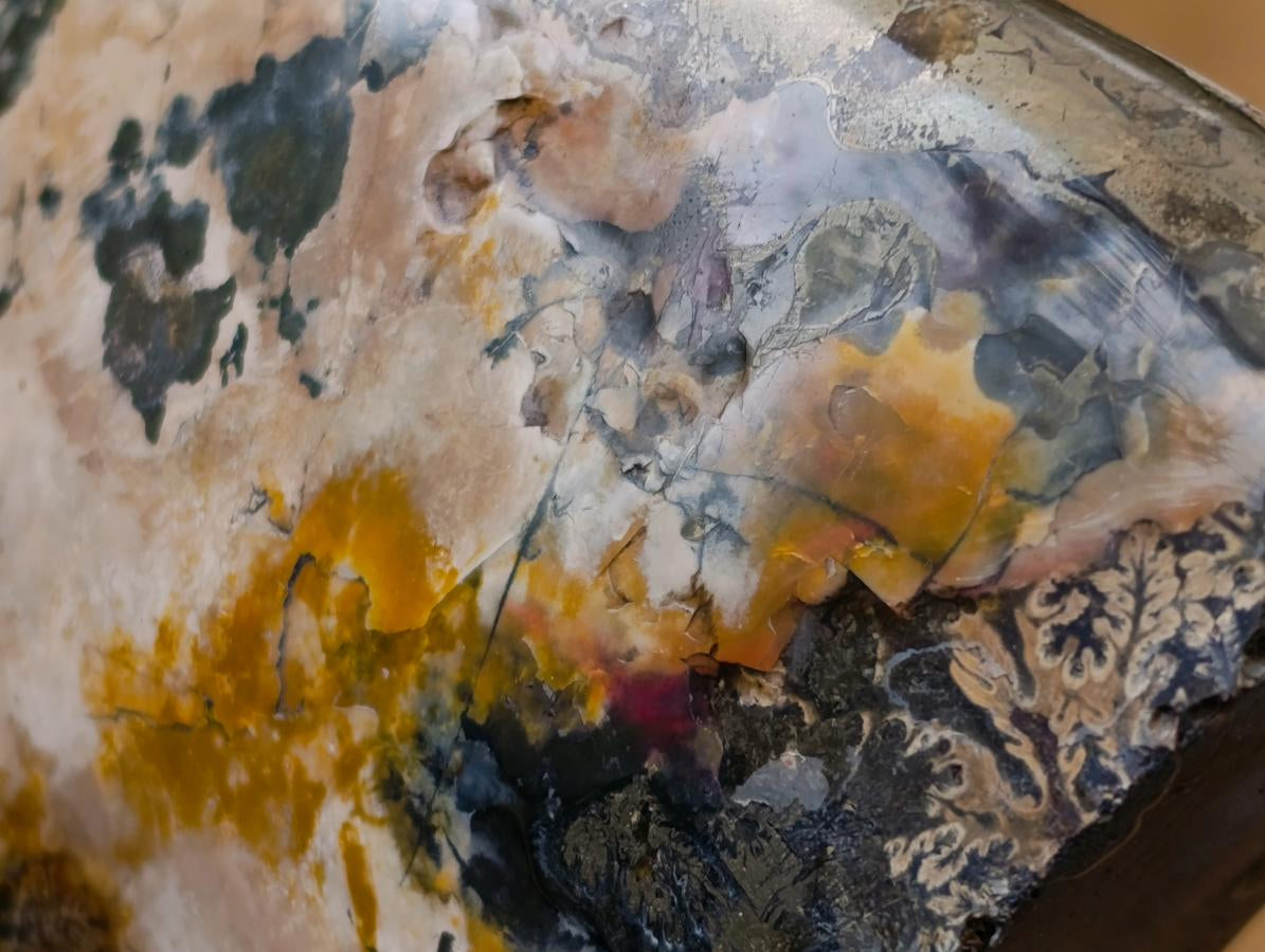 Polished Large Pyratised Ammonite Rams Horn x 1 From Madagascar