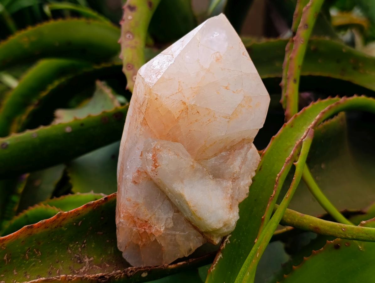 Natural Mixed Serenje Quarts Crystals x 3 From Serenje, Zambia - Toprock Gemstones and Minerals 