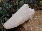 Natural Mixed Serenje Quarts Crystals x 3 From Serenje, Zambia - Toprock Gemstones and Minerals 