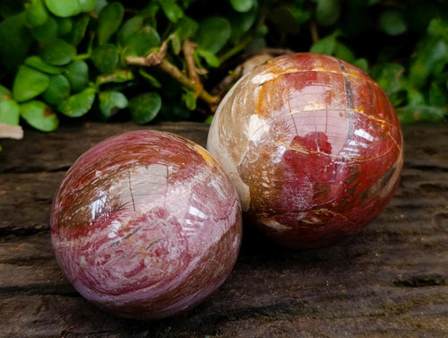 Polished Red Podocarpus Petrified Wood Spheres x 2 From Mahajanga, Madagascar