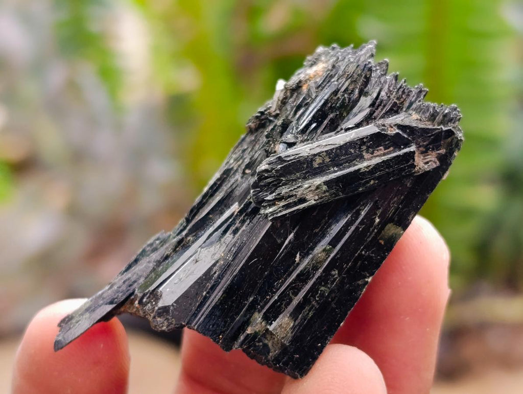 Natural Aegirine Single Crystals x 750g Lot From Zomba, Malawi