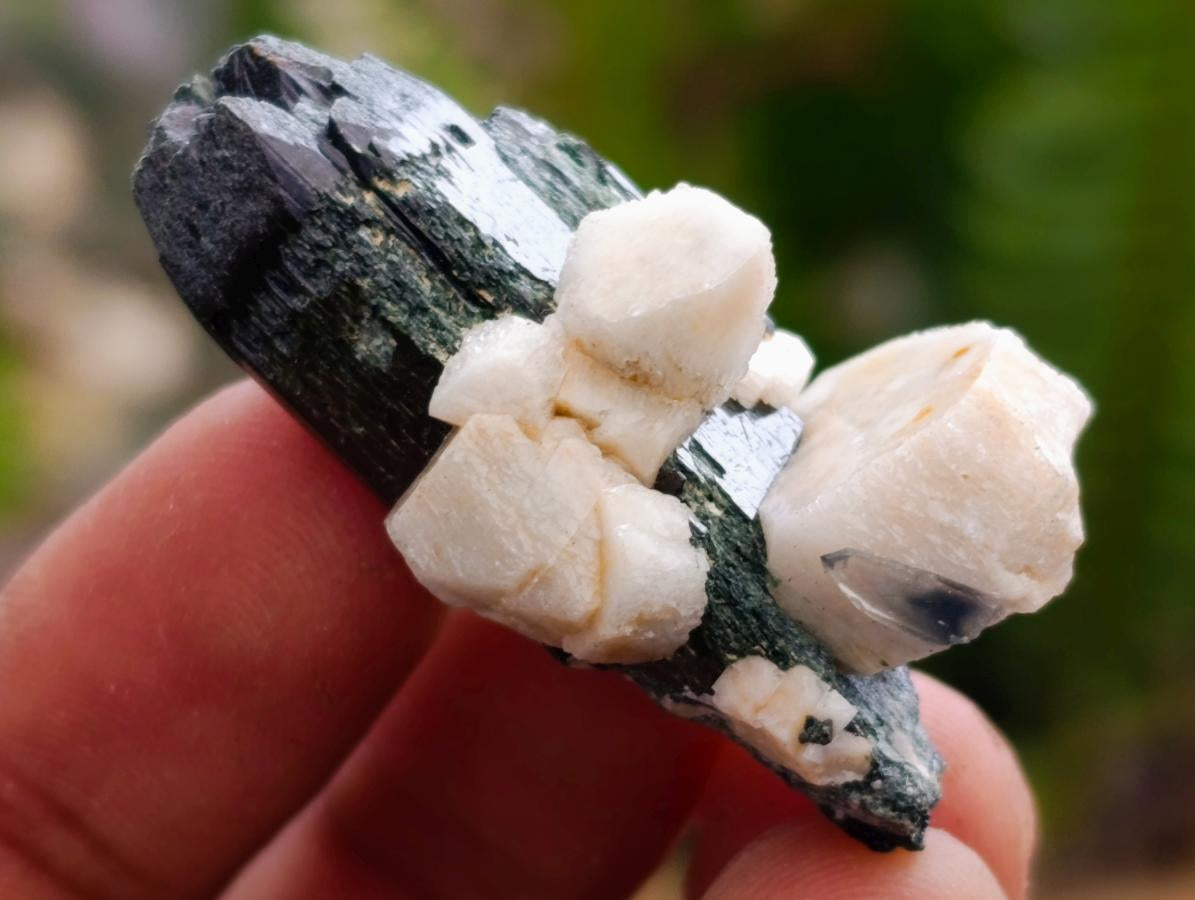 Natural Aegirine Single Crystals x 750g Lot From Zomba, Malawi