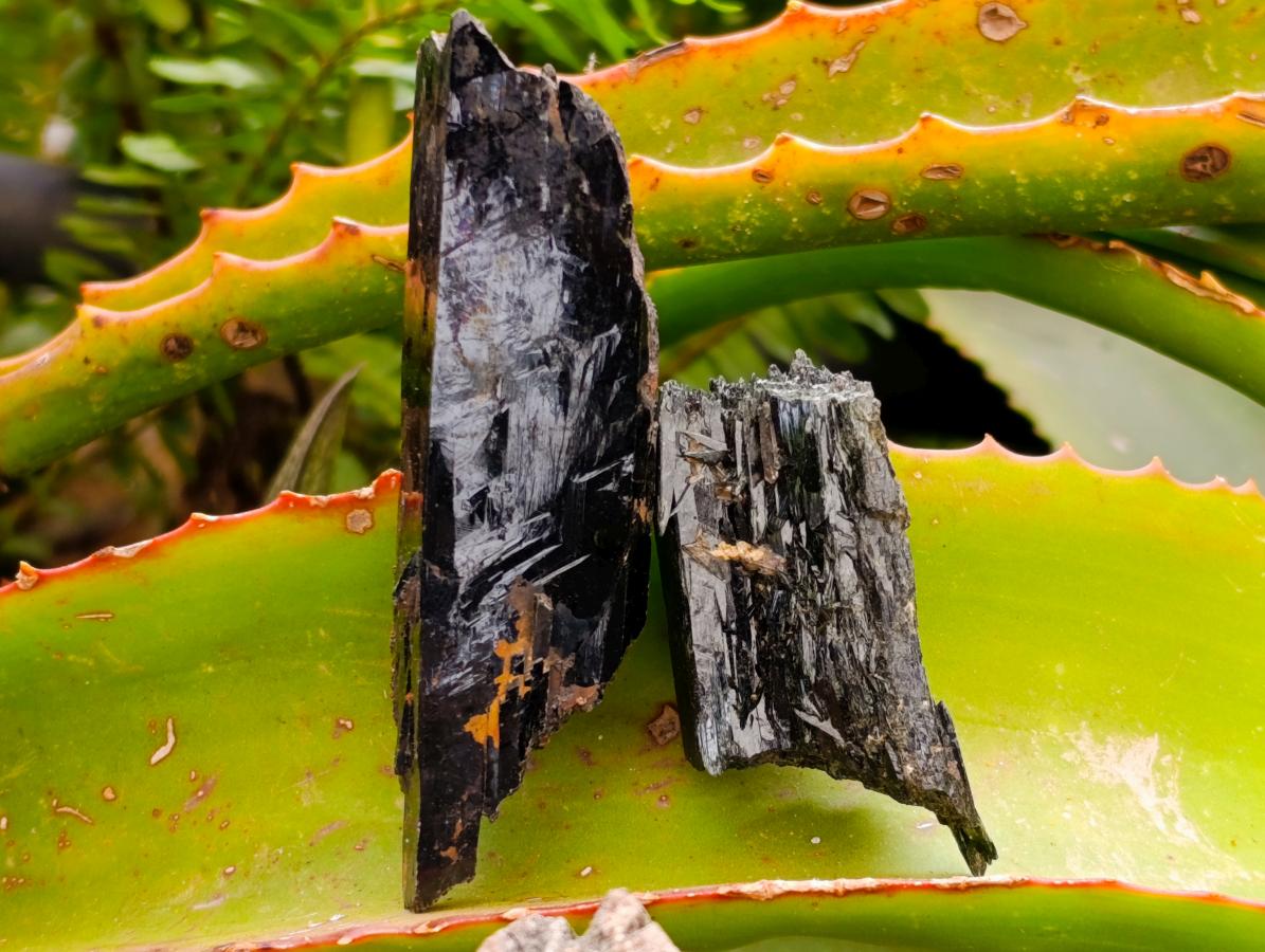 Natural Aegirine Single Crystals x 750g Lot From Zomba, Malawi