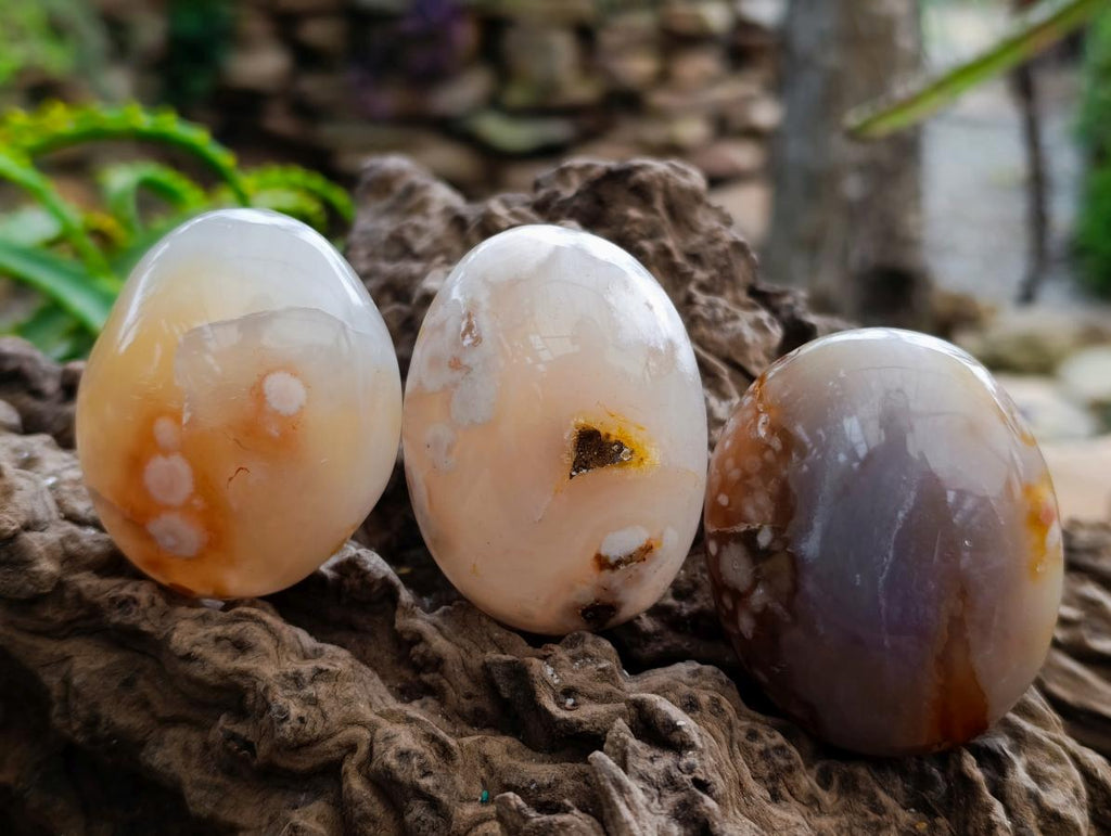 Polished Flower Agate Palm Stones x 16 From Antsahalova, Madagascar - Toprock Gemstones and Minerals 