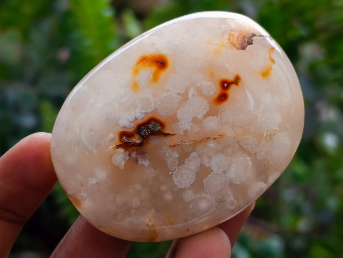 Polished Flower Agate Palm Stones x 16 From Antsahalova, Madagascar