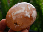Polished Flower Agate Palm Stones x 16 From Antsahalova, Madagascar - Toprock Gemstones and Minerals 