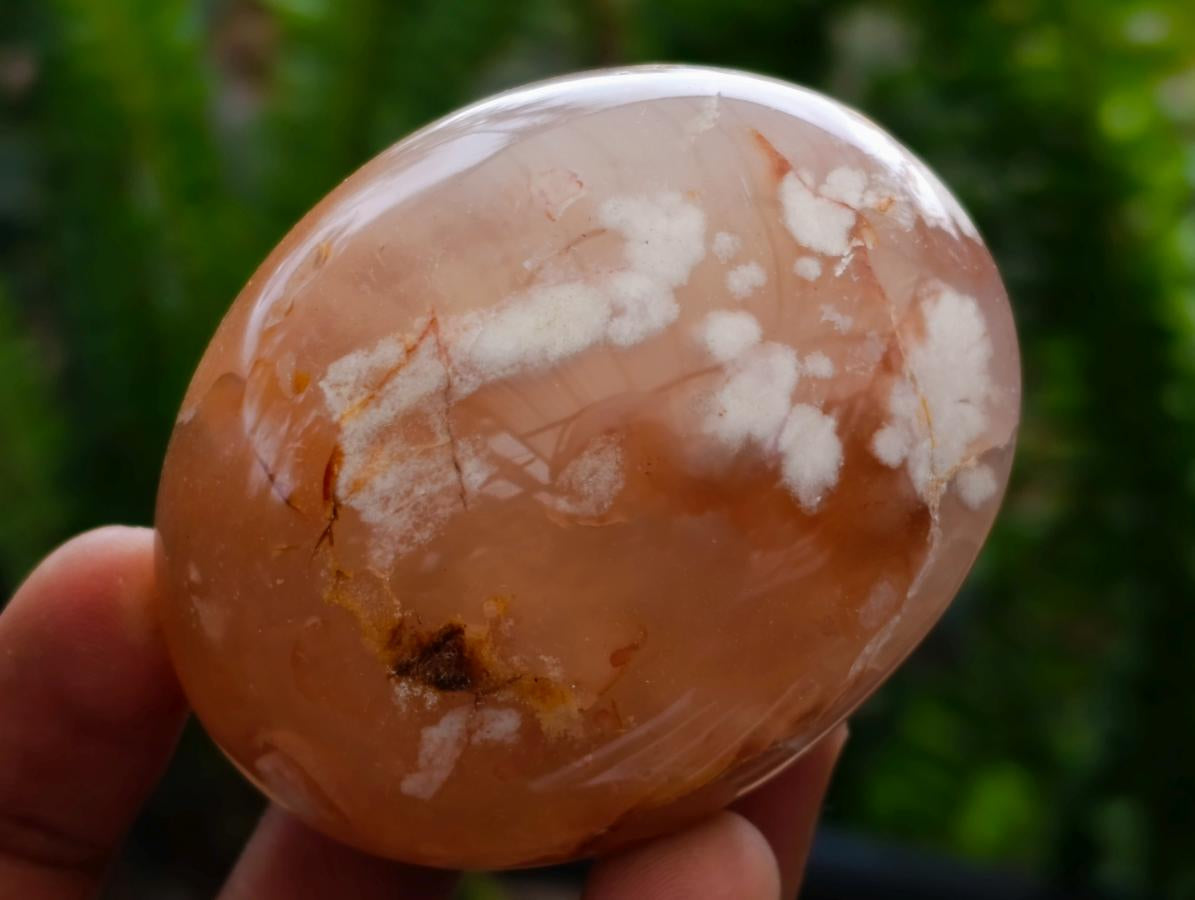 Polished Flower Agate Palm Stones x 16 From Antsahalova, Madagascar - Toprock Gemstones and Minerals 