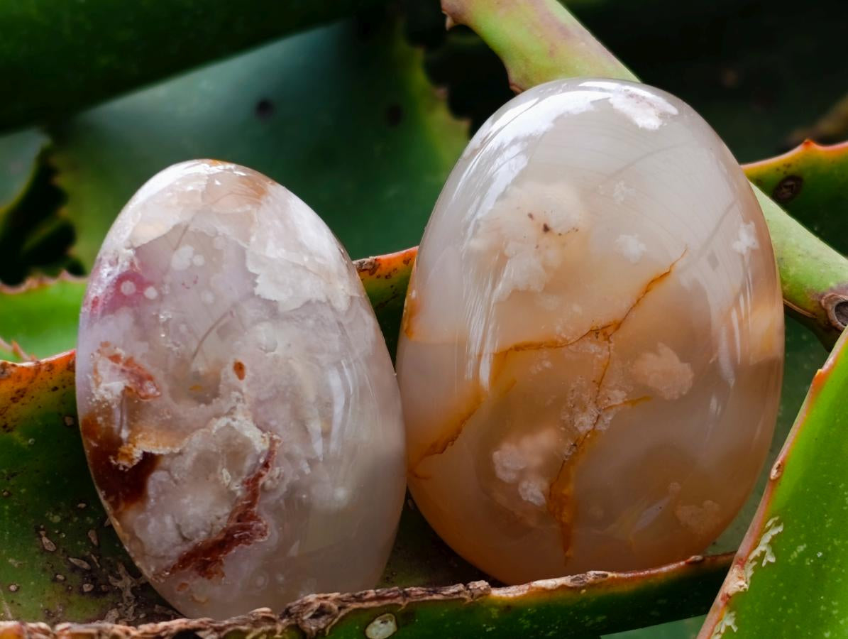 Polished Flower Agate Palm Stones x 16 From Antsahalova, Madagascar - Toprock Gemstones and Minerals 